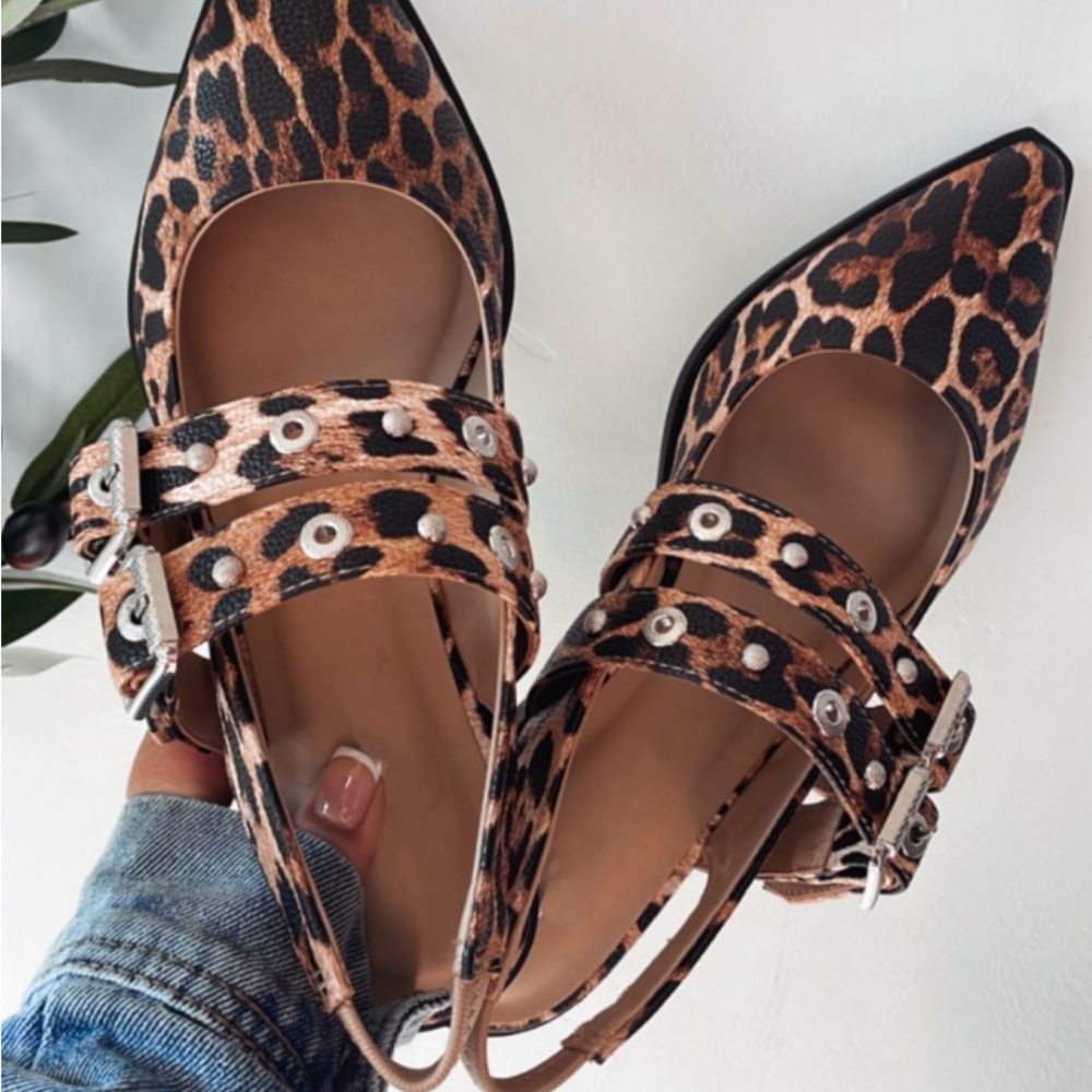 Pointed Toe Flats